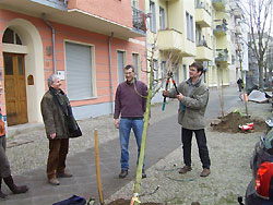 Mathias Kraatz bei der Baumpflanzung